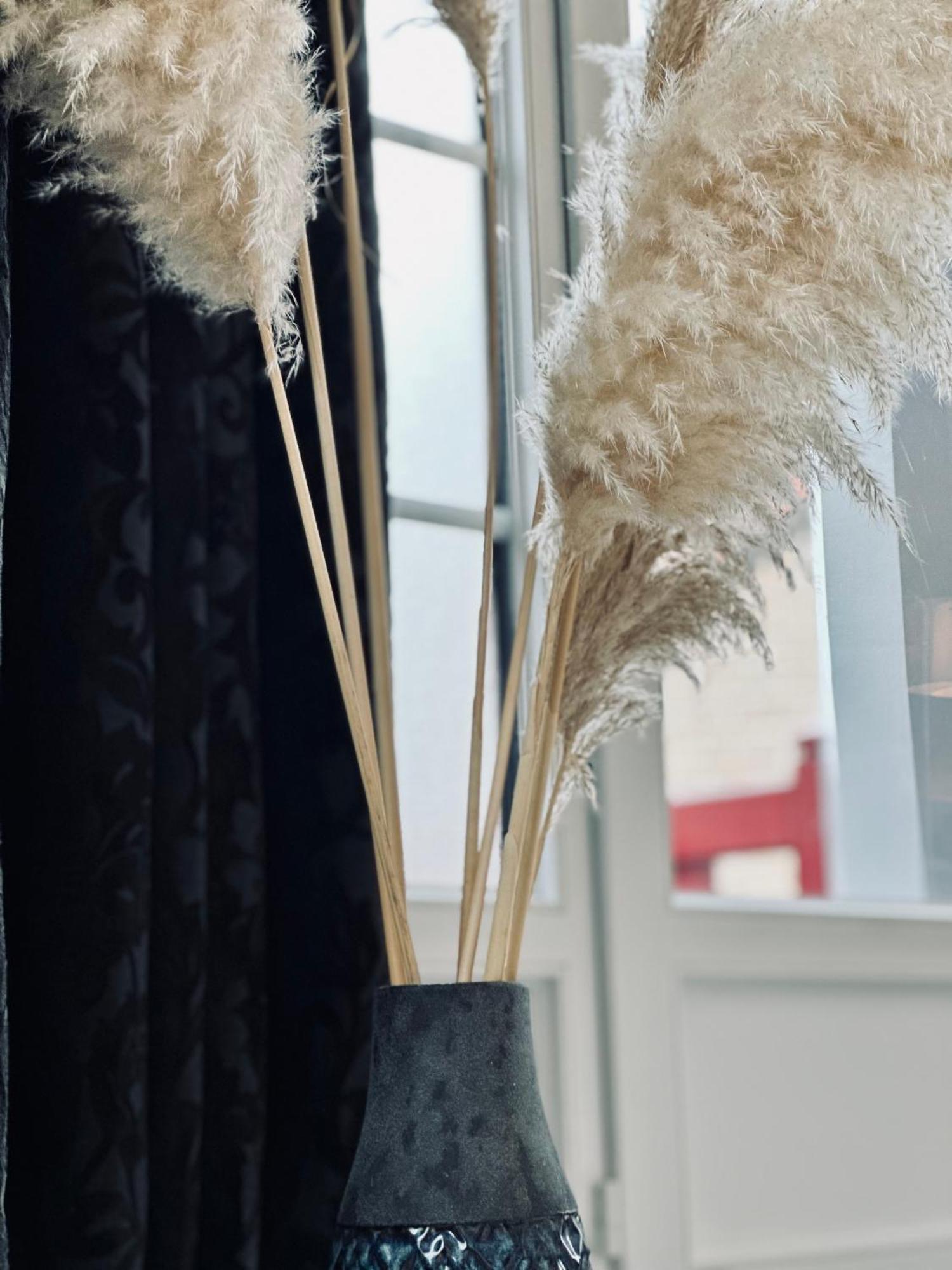 Appartement De Charme Avec Balcon - Villa Les Iris 敦刻尔克 外观 照片